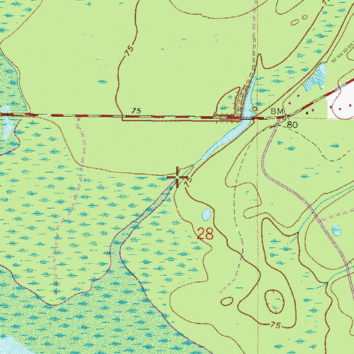 Topographic Map of Hatchet Creek, FL