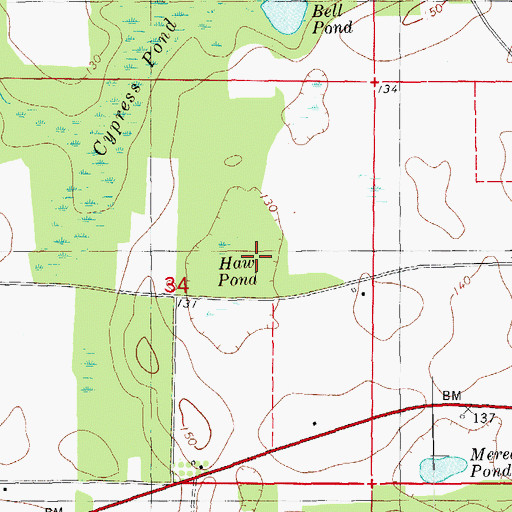 Topographic Map of Haw Pond, FL
