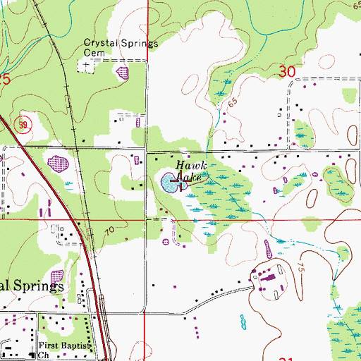 Topographic Map of Hawk Lake, FL