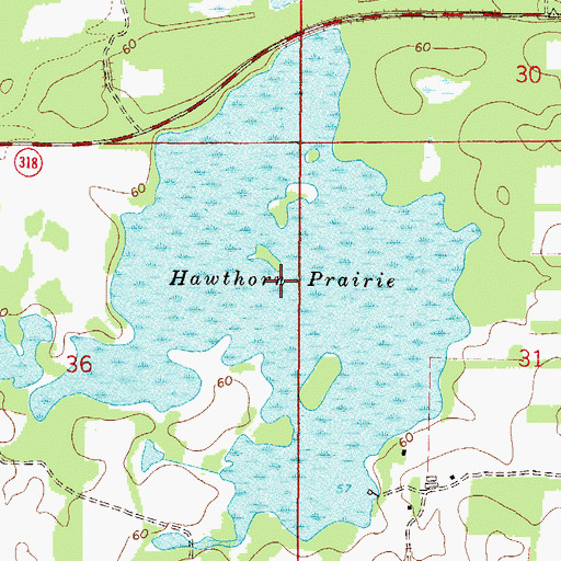 Topographic Map of Hawthorn Prairie, FL