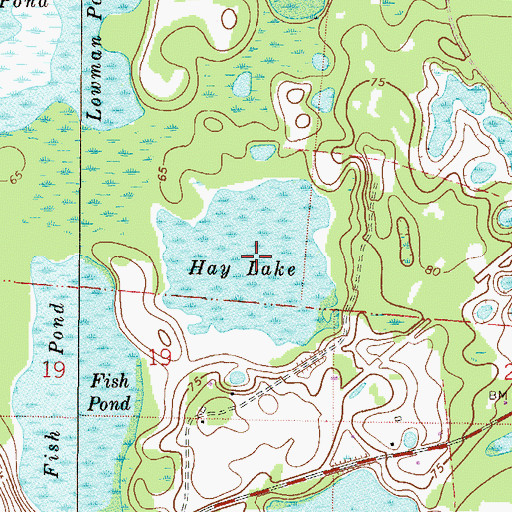 Topographic Map of Hay Lake, FL