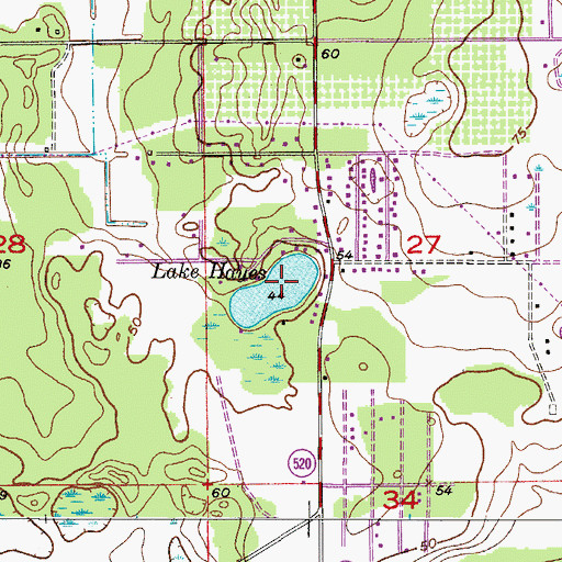 Topographic Map of Lake Hayes, FL
