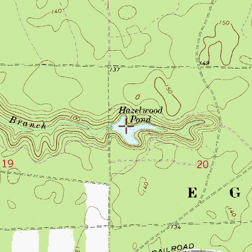 Topographic Map of Hazelwood Pond, FL