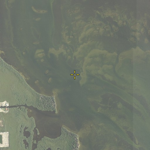 Aerial/Satellite Image of Hell Gate, FL