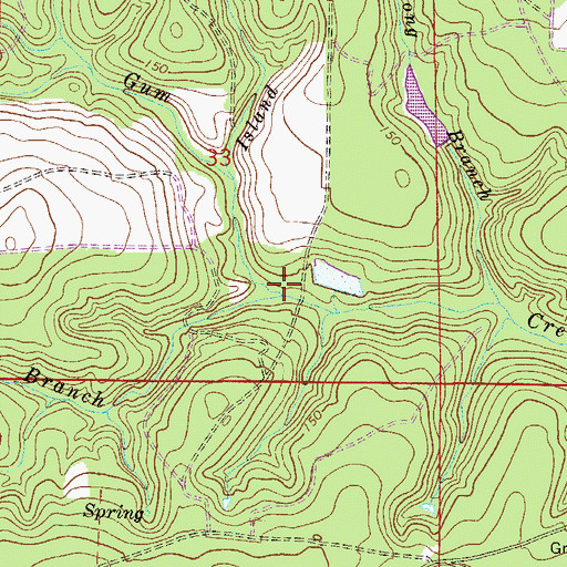 Topographic Map of Henderson Branch, FL