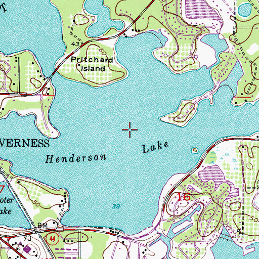 Topographic Map of Henderson Lake, FL