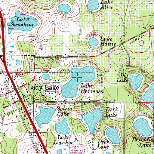 Topographic Map of Lake Hermosa, FL