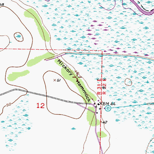 Topographic Map of Hickory Hammock, FL