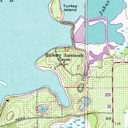 Topographic Map of Hickory Hammock Grove, FL