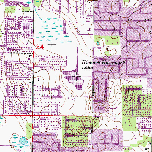 Topographic Map of Hickory Hammock Lake, FL
