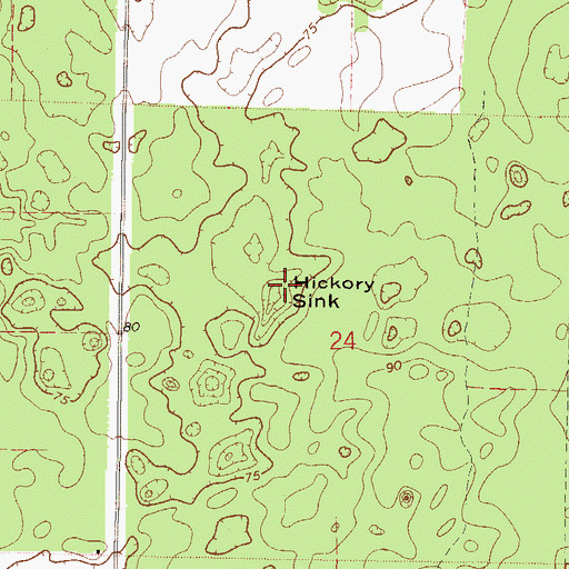 Topographic Map of Hickory Sink, FL