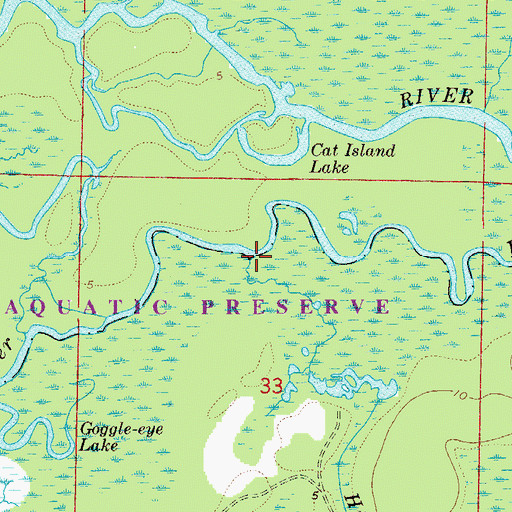 Topographic Map of Hicks Creek, FL