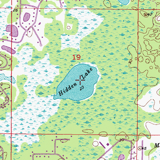 Topographic Map of Hidden Lake, FL