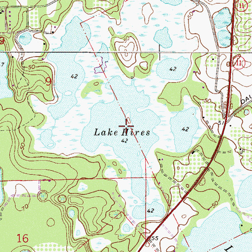 Topographic Map of Lake Hires, FL