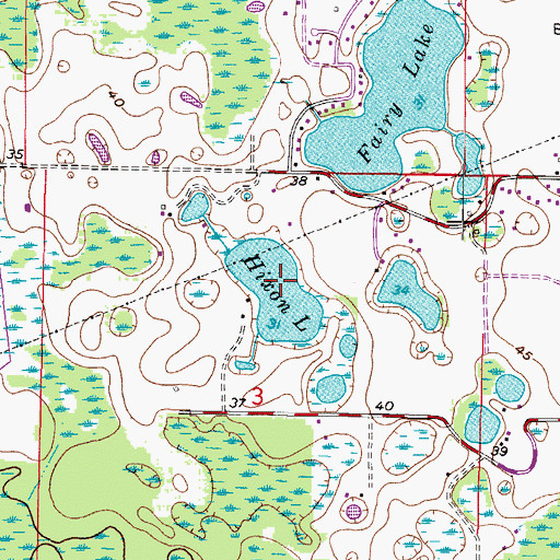 Topographic Map of Hixon Lake, FL