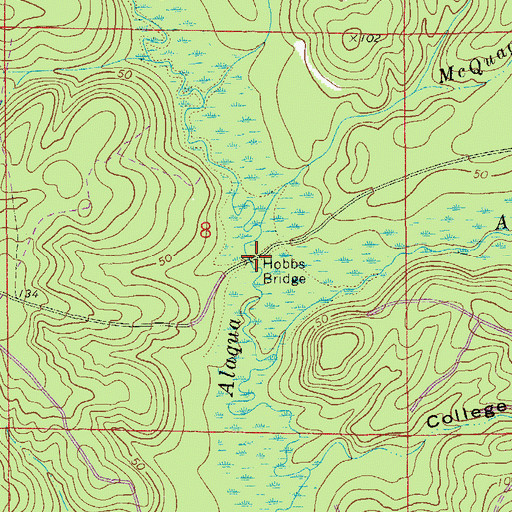 Topographic Map of Hobbs Bridge, FL