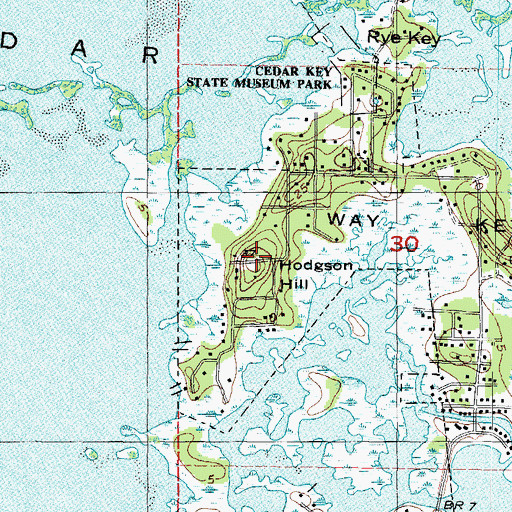 Topographic Map of Hodgson Hill, FL