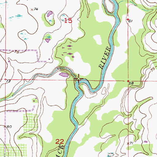 Topographic Map of Hog Branch, FL