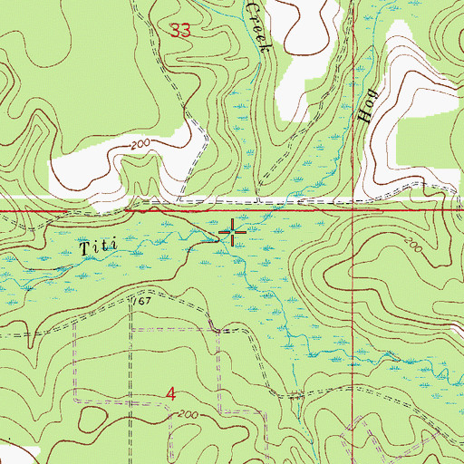 Topographic Map of Hog Creek, FL