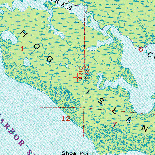 Topographic Map of Hog Island, FL