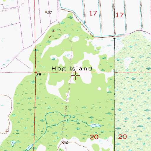 Topographic Map of Hog Island, FL