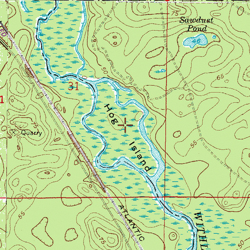 Topographic Map of Hog Island, FL