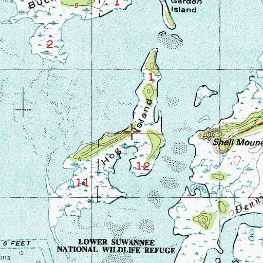 Topographic Map of Hog Island, FL