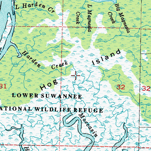Topographic Map of Hog Island, FL