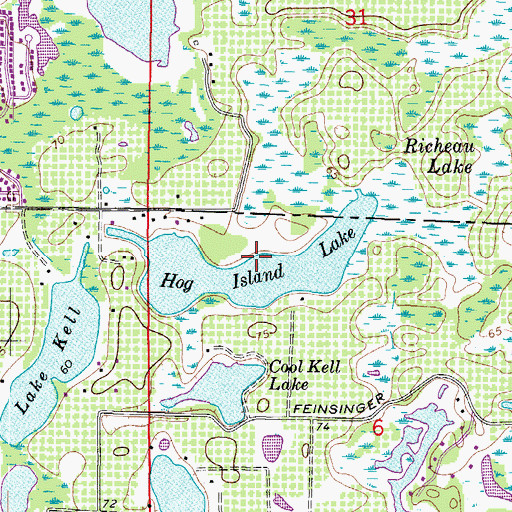 Topographic Map of Hog Island Lake, FL