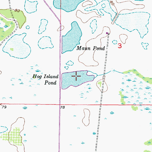 Topographic Map of Hog Island Pond, FL