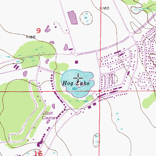 Topographic Map of Hog Lake, FL