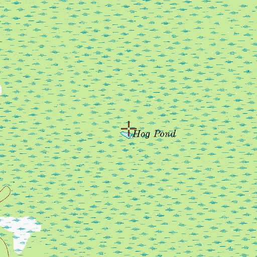 Topographic Map of Hog Pond, FL