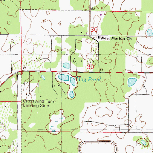 Topographic Map of Hog Pond, FL