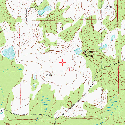 Topographic Map of Hogan Pond, FL