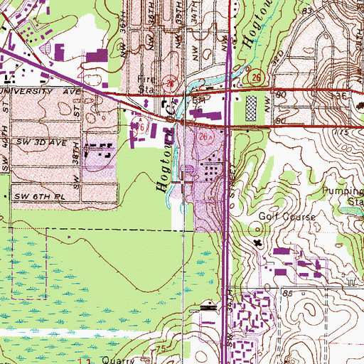 Topographic Map of Hogtown Creek, FL