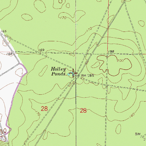 Topographic Map of Holley Pond, FL