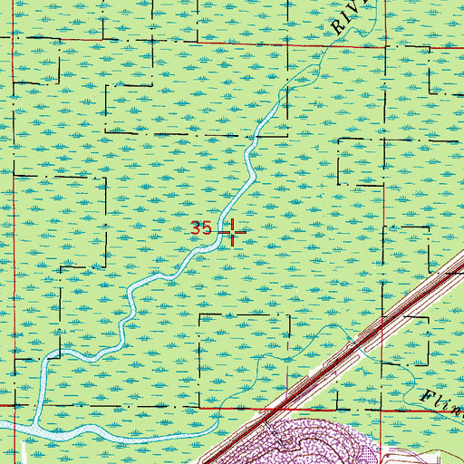 Topographic Map of Hollomans Branch, FL