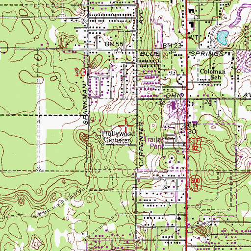 Topographic Map of Hollywood Cemetery, FL