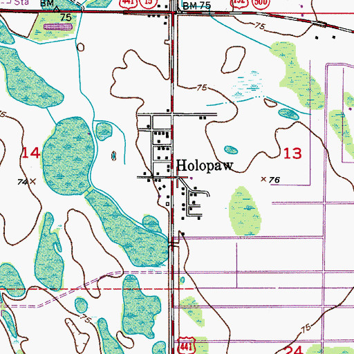Topographic Map of Holopaw, FL