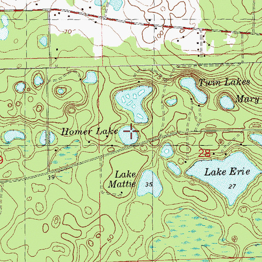 Topographic Map of Homer Lake, FL