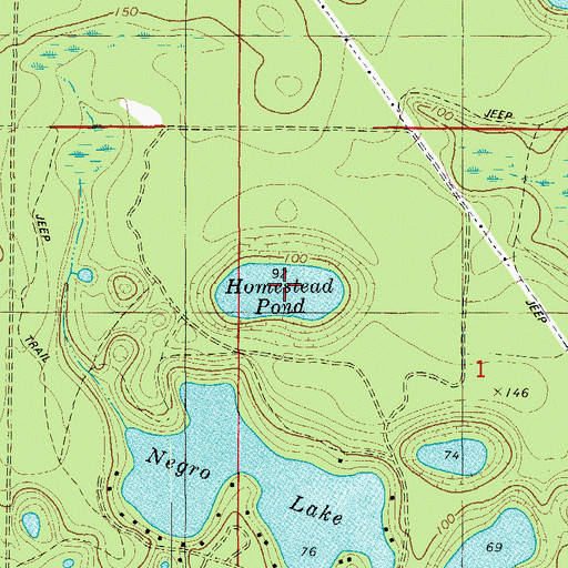 Topographic Map of Homestead Pond, FL