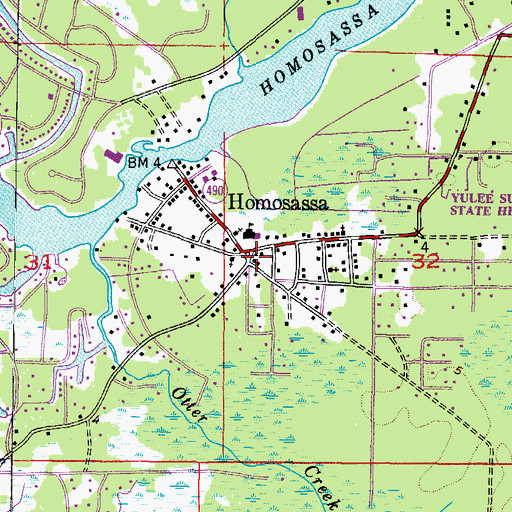 Topographic Map of Homosassa, FL