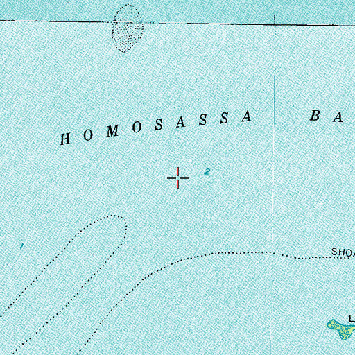 Topographic Map of Homosassa Bay, FL
