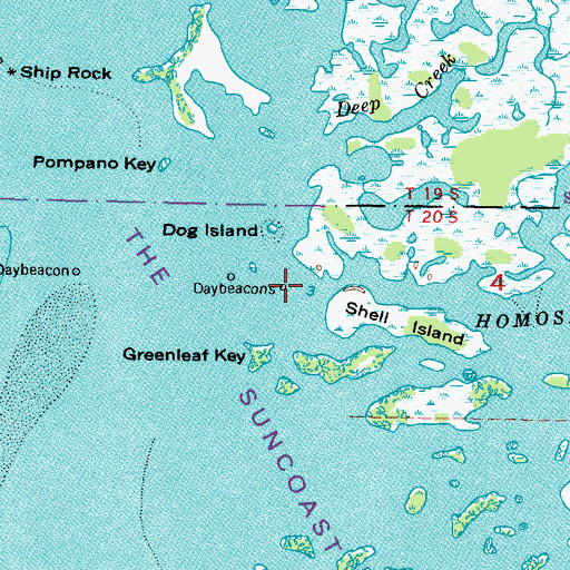 Topographic Map of Homosassa River, FL