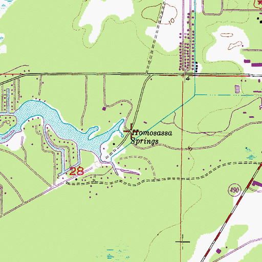 Topographic Map of Homosassa Springs, FL