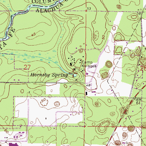 Topographic Map of Hornsby Spring, FL