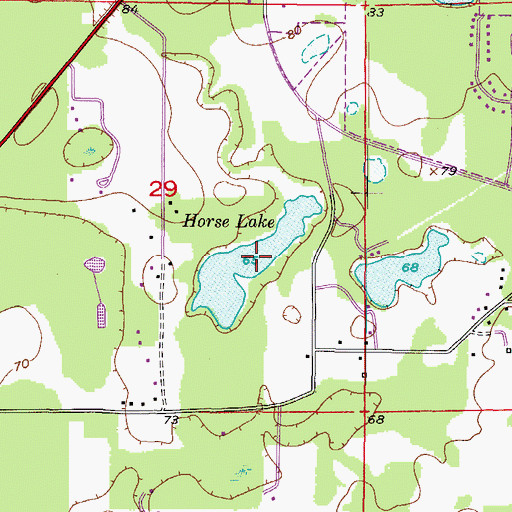 Topographic Map of Horse Lake, FL
