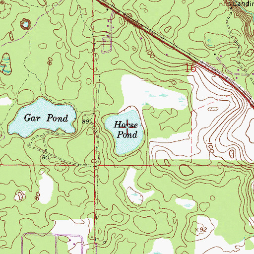 Topographic Map of Horse Pond, FL