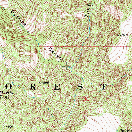 Topographic Map of Derrick Canyon, AZ