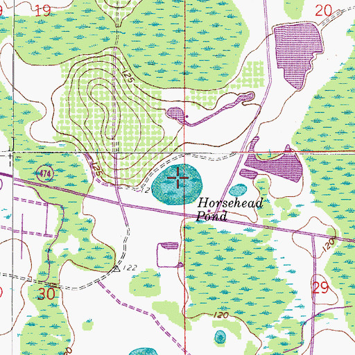 Topographic Map of Horsehead Pond, FL